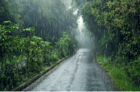 100 Bài tập Tiếng Anh lớp 4 Unit 16 (Global Success 2024) có đáp án: Weather (ảnh 1)