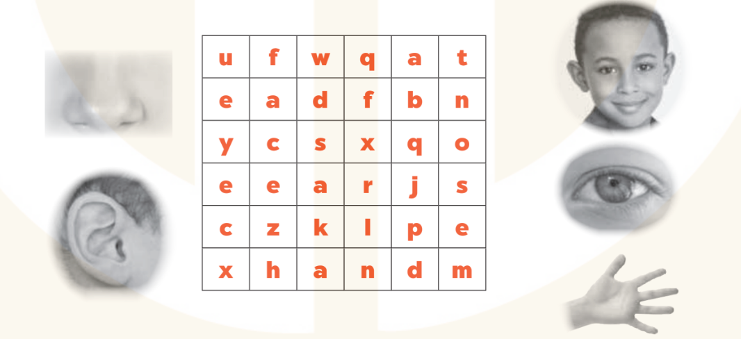 Sách bài tập Tiếng Anh lớp 3 Unit 4 trang 16 Phonics and Vocabulary - Kết nối tri thức (ảnh 1)