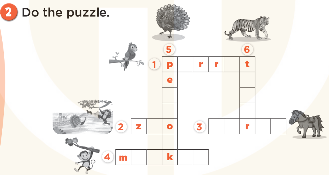 Sách bài tập Tiếng Anh lớp 3 Unit 20 trang 92 Phonics and Vocabulary - Kết nối tri thức (ảnh 1)