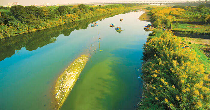 TOP 10 bài Tả cảnh ao hồ, sông suối ở quê hương em hoặc ở nơi em sinh sống (ảnh 2)