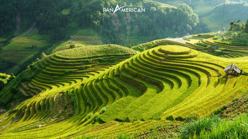 TOP 10 bài Tả phong cảnh lớp 5 SIÊU HAY (ảnh 2)