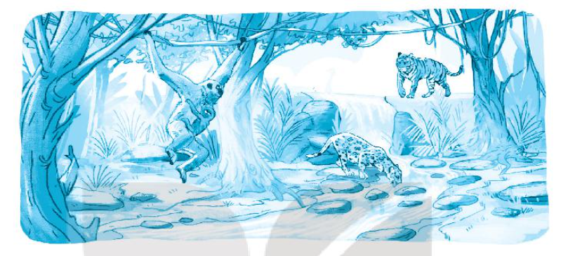 Vở bài tập Tiếng Việt lớp 3 Bài 5: Ngày hội rừng xanh trang 12, 13 Tập 2 - Kết nối tri thức (ảnh 1)