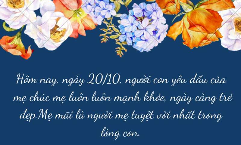 Vở bài tập Tiếng Việt lớp 3 Tập 1 trang 48, 49 Bài 21: Tia nắng bé nhỏ | Kết nối tri thức (ảnh 9)