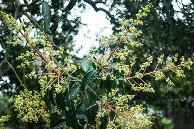 Vở bài tập Tiếng Việt lớp 3 Bài 8: Bầy voi rừng Trường Sơn trang 18, 19 Tập 2 - Kết nối tri thức (ảnh 1)