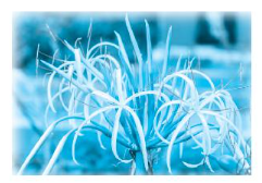 Vở bài tập Tiếng Việt lớp 3 Bài 9: Lời kêu gọi toàn dân tập thể dục trang 20, 21 Tập 2 - Kết nối tri thức (ảnh 1)