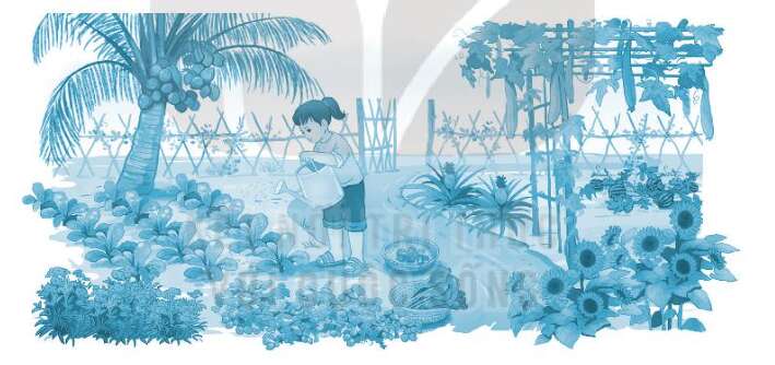 Vở bài tập Tiếng Việt lớp 3 Tập 1 trang 52, 53 Bài 23: Tôi yêu em tôi | Kết nối tri thức (ảnh 1)