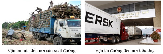 Lý thuyết Địa lí 10 Bài 34: Địa lí ngành giao thông vận tải - Kết nối tri thức (ảnh 1)