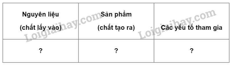 Khoa học tự nhiên 7 Bài 22: Quang hợp ở thực vật | KHTN 7 Kết nối tri thức (ảnh 3)