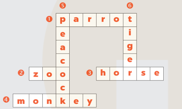 Sách bài tập Tiếng Anh lớp 3 Unit 20 trang 92 Phonics and Vocabulary - Kết nối tri thức (ảnh 1)