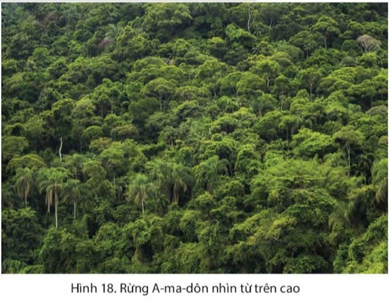 Dựa vào hình 16.1, hình 18, bảng số liệu và thông tin trong bài, em hãy:  Xác định vị trí của rừng nhiệt đới A-ma-dôn trên bản đồ