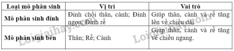 Khoa học tự nhiên 7 Bài 36: Khái quát về sinh trưởng và phát triển ở sinh vật | KHTN 7 Kết nối tri thức (ảnh 4)