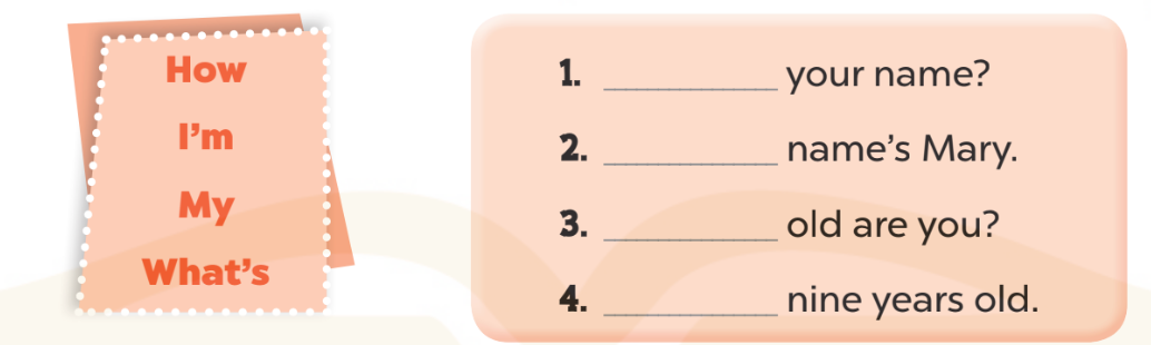 Sách bài tập Tiếng Anh lớp 3 Unit 2 trang 8 Phonics and Vocabulary - Kết nối tri thức (ảnh 1)