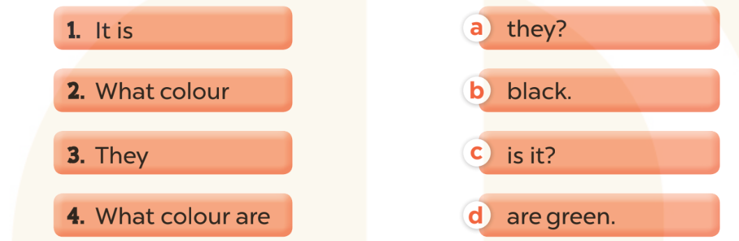 Sách bài tập Tiếng Anh lớp 3 Unit 9 trang 41 Sentence patterns - Kết nối tri thức (ảnh 1)