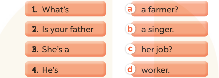 Sách bài tập Tiếng Anh lớp 3 Unit 12 trang 57 Sentence patterns - Kết nối tri thức (ảnh 1)