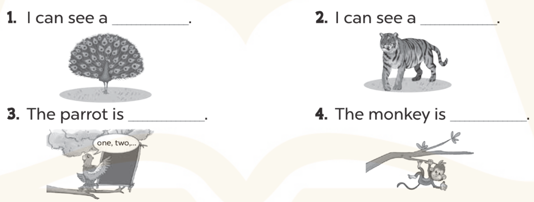 Sách bài tập Tiếng Anh lớp 3 Unit 20 trang 92 Phonics and Vocabulary - Kết nối tri thức (ảnh 1)