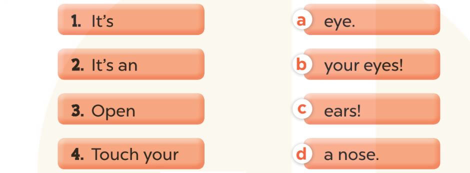 Sách bài tập Tiếng Anh lớp 3 Unit 4 trang 17 Sentence patterns - Kết nối tri thức (ảnh 1)