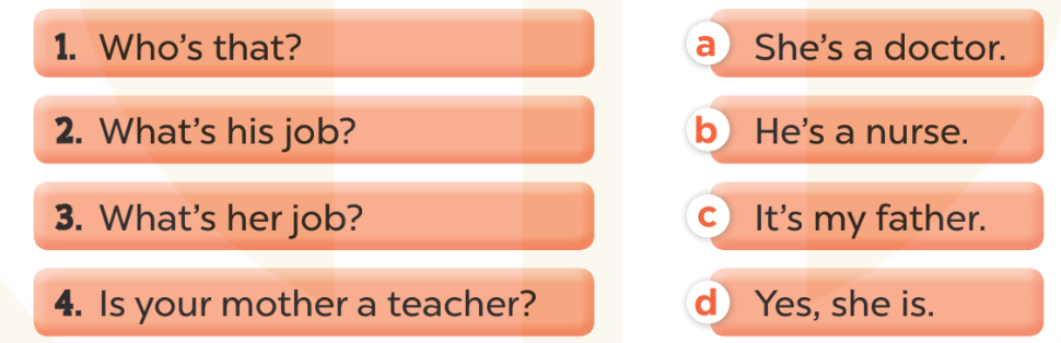 Sách bài tập Tiếng Anh lớp 3 Unit 12 trang 57 Sentence patterns - Kết nối tri thức (ảnh 1)