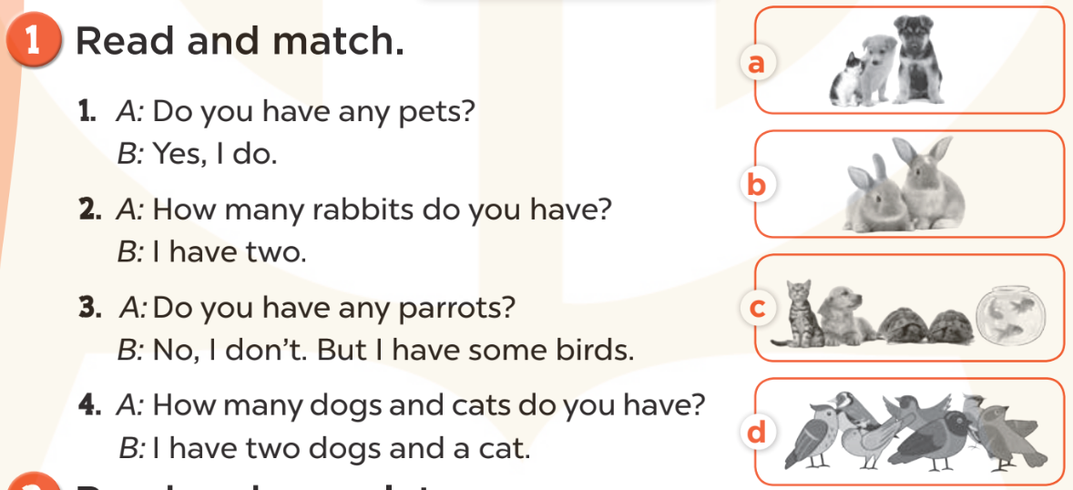 Sách bài tập Tiếng Anh lớp 3 Unit 16 trang 78 Reading - Kết nối tri thức (ảnh 1)
