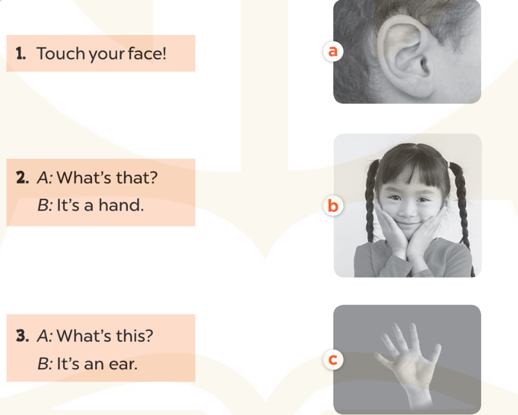 Sách bài tập Tiếng Anh lớp 3 Unit 4 trang 18 Reading - Kết nối tri thức (ảnh 1)