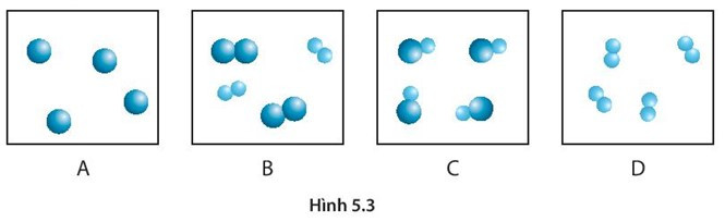 SBT Khoa học tự nhiên 7 Bài 5: Phân tử - đơn chất - hợp chất - Kết nối tri thức (ảnh 1)