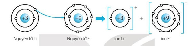 SBT Khoa học tự nhiên 7 Bài 6: Giới thiệu về liên kết hóa học - Kết nối tri thức (ảnh 1)