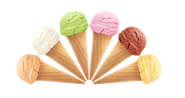 TOP 15 câu Trắc nghiệm Tiếng anh 6 Từ vựng (có đáp án): Natural wonders of Vietnam - Kết nối tri thức (ảnh 1)