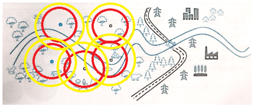 Vở bài tập Toán lớp 5 Kết nối tri thức Bài 27: Đường tròn. Chu vi và diện tích hình tròn