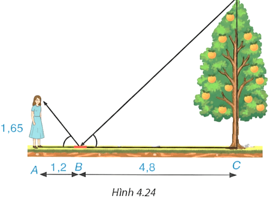 Bài 4.13 trang 78 Toán 9 Tập 1 | Kết nối tri thức Giải Toán 9