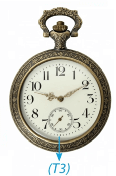 Bài 5.29 trang 110 Toán 9 Kết nối tri thức Tập 1 | Giải Toán 9