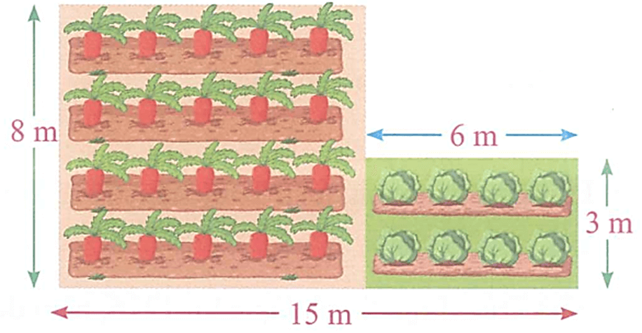 Bài tập cuối tuần Toán lớp 4 Tuần 10 Kết nối tri thức (có đáp án) | Đề kiểm tra cuối tuần Toán lớp 4
