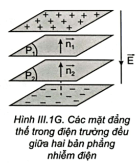 Hãy nêu đặc điểm của mặt đẳng thế trong điện trường đều