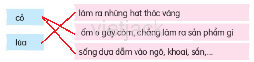 Đánh giá cuối học kì 1 (Đề tham khảo) trang 141 - 142