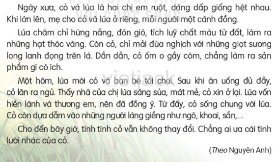 Đánh giá cuối học kì 1 (Đề tham khảo) trang 141 - 142