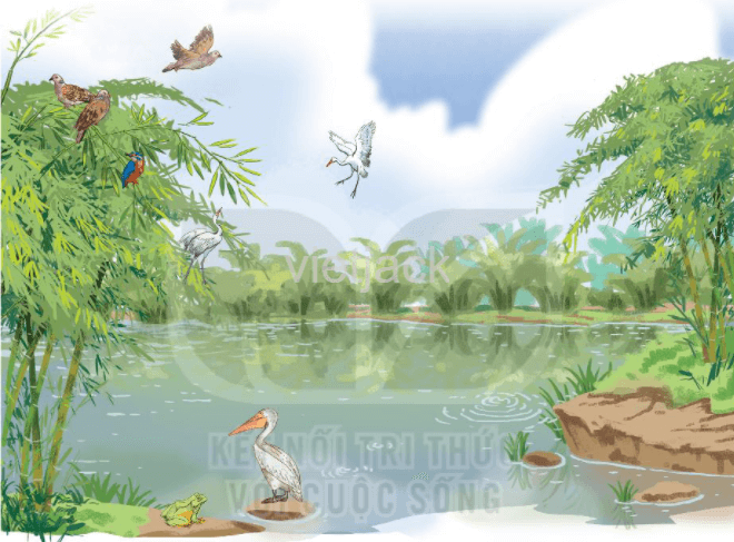 Bờ tre đón khách trang 49 - 50