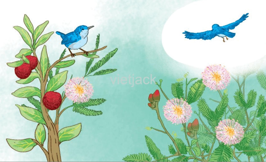 Đọc Cây xấu hổ trang 31 - 32