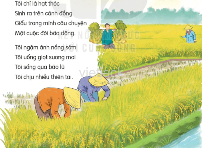 Hạt thóc trang 31 - 32