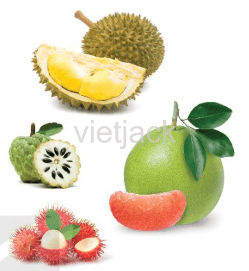 Mùa vàng trang 26 - 27