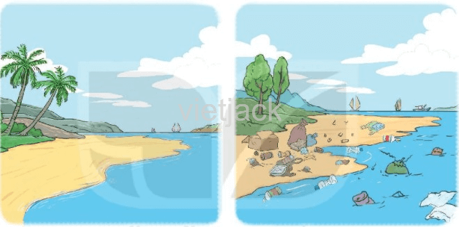 Những con sao biển trang 61 - 62