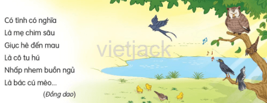 Vè chim trang 39 - 40