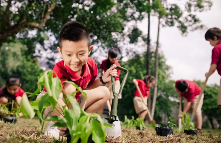 Chuyên đề Vật lí 10 Bài 7: Sự cần thiết phải bảo vệ môi trường - Kết nối tri thức (ảnh 1)