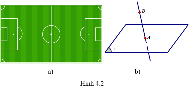 HĐ1 trang 71 Toán 11 Tập 1 | Kết nối tri thức Giải Toán 11
