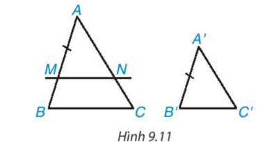 HĐ1 trang 83 Toán 8 Tập 2 | Kết nối tri thức Giải Toán