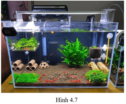 HĐ5 trang 73 Toán 11 Tập 1 | Kết nối tri thức Giải Toán 11