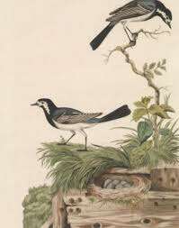 TOP 10 bài Bài văn phân tích tác phẩm Bầy chim chìa vôi 2023 SIÊU HAY (ảnh 1)