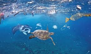 TOP 10 bài Thảo luận ý kiến về một vấn đề đời sống Tình trạng ô nhiễm môi trường 2023 SIÊU HAY (ảnh 1)