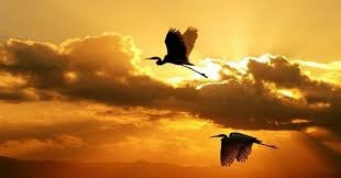 TOP 10 bài Viết đoạn văn phân tích cảnh và tình trong bài thơ Chiều hôm nhớ nhà của Bà Huyện Thanh Quan 2023 SIÊU HAY (ảnh 3)