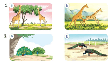 Tiếng Anh lớp 4 Unit 19 Lesson 2 (trang 60, 61) | Tiếng Anh lớp 4 Global Success