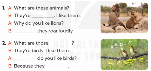 Tiếng Anh lớp 4 Unit 19 Lesson 2 (trang 60, 61) | Tiếng Anh lớp 4 Global Success