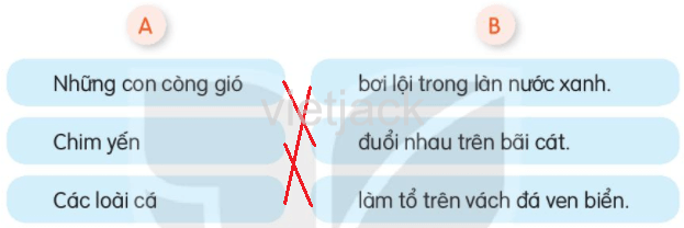 Luyện tập trang 124 - 125