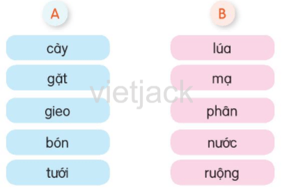 Luyện tập trang 131 - 132